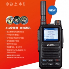 4G電訊網絡對講機 雙卡槽接收(全港接收) 可使用